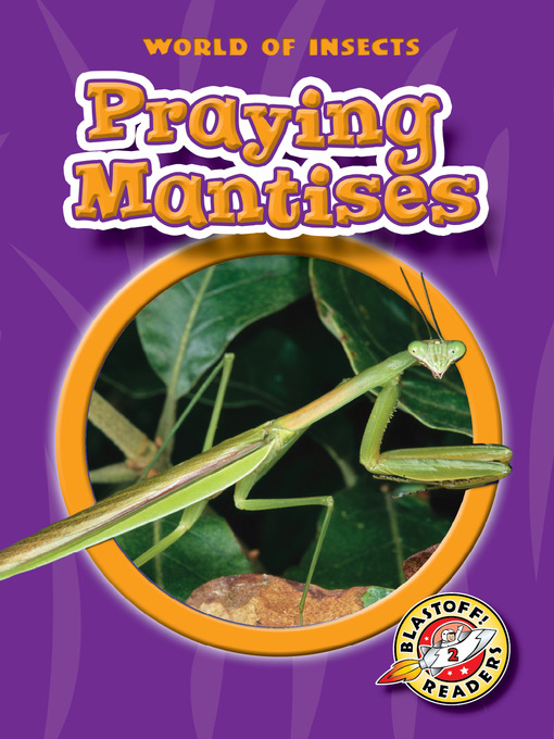Title details for Praying Mantises by Colleen Sexton - Available